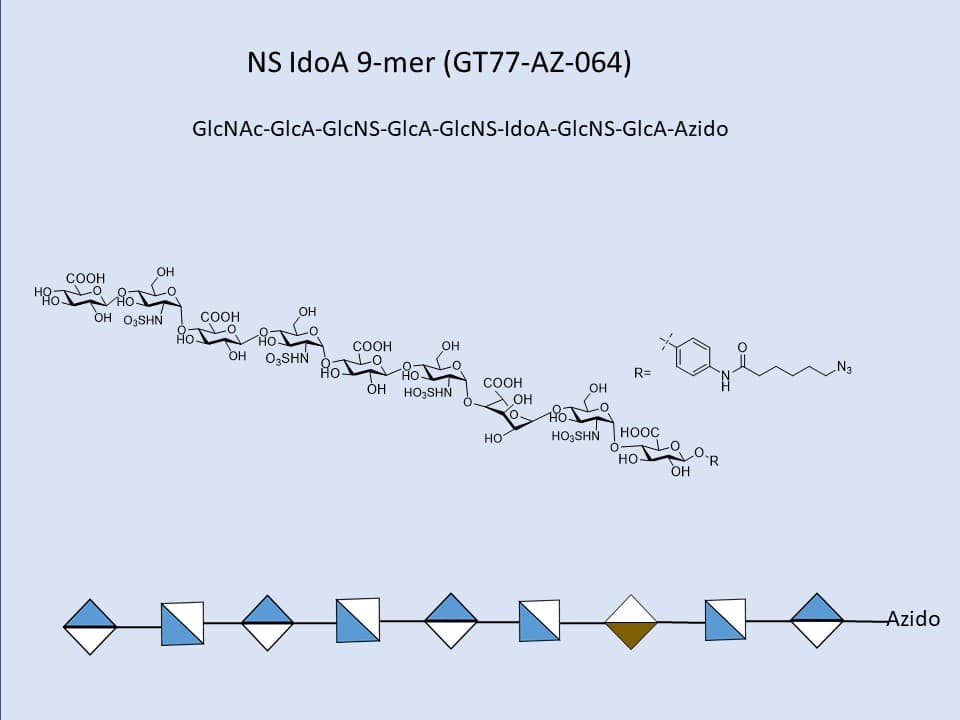 Heparan Sulfate NS IdoA 9-mer