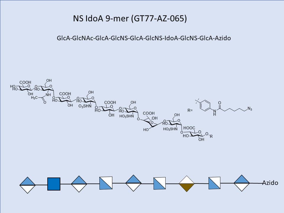 Heparan Sulfate NS IdoA 9-mer