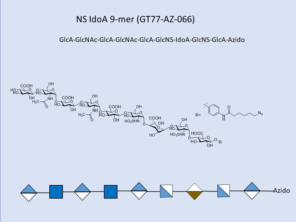 Heparan Sulfate NS IdoA 9-mer