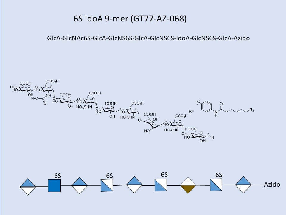 Heparan Sulfate 6S IdoA 9-mer