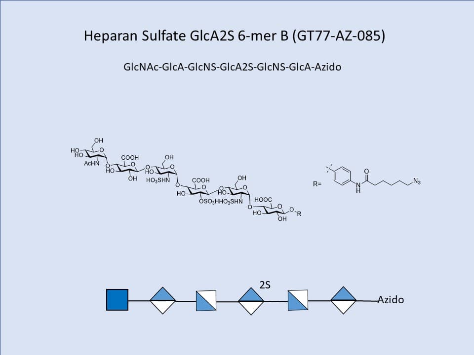 Heparan Sulfate GlcA2S 6-mer B