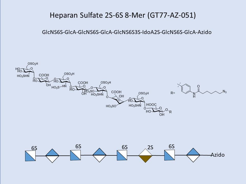 Heparan Sulfate 2S-6S 8-Mer