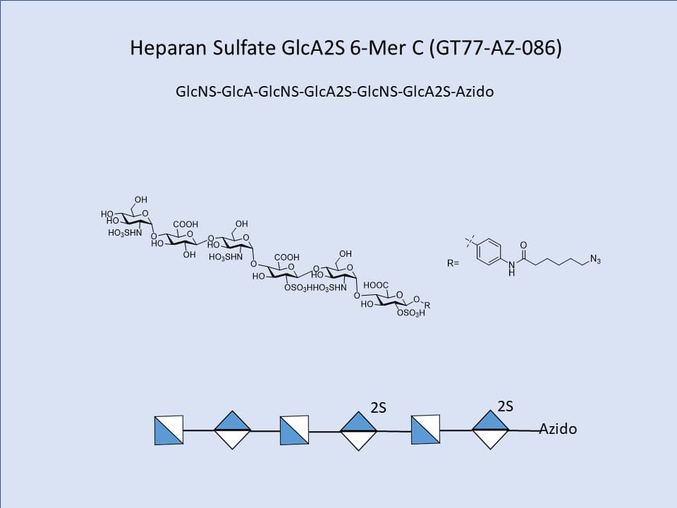Heparan Sulfate GlcA2S 6-Mer C