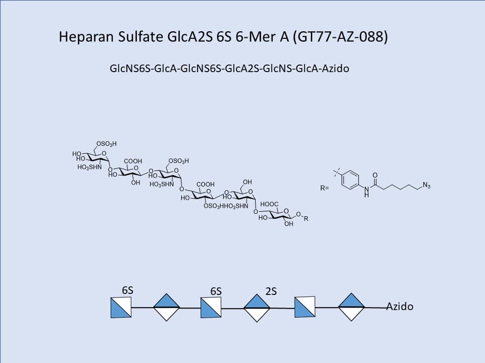 Heparan Sulfate GlcA2S 6S 6-Mer A