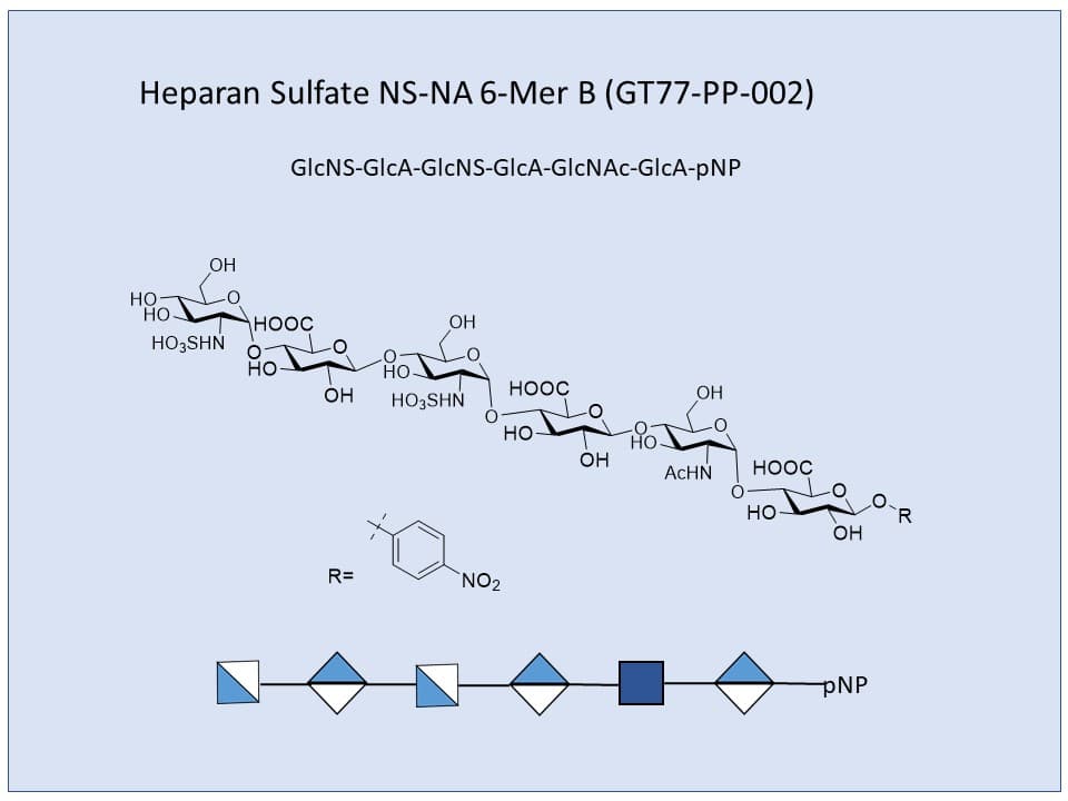 Heparan Sulfate NS-NA 6-Mer B pNP