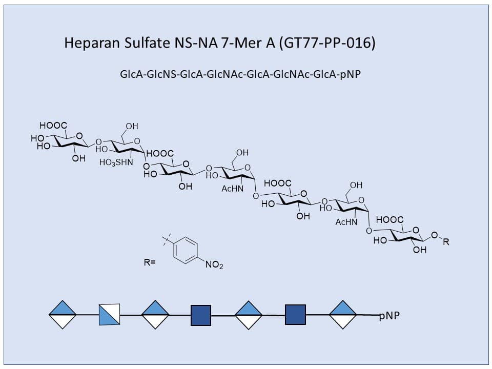 Heparan Sulfate NS-NA 7-Mer A pNP