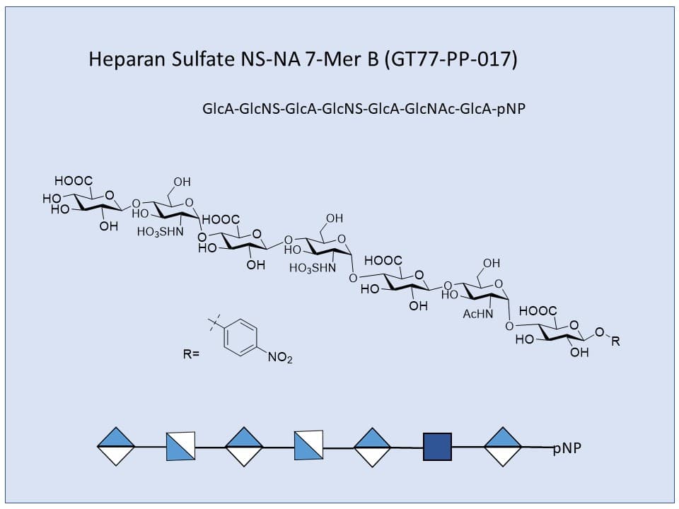 Heparan Sulfate NS-NA 7-Mer B pNP