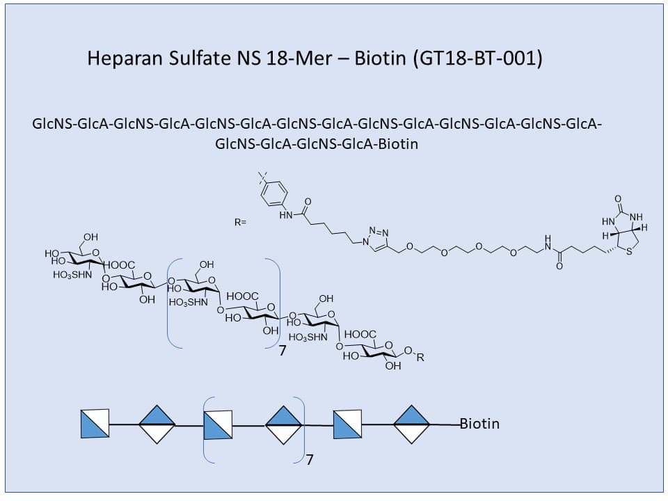 Heparan Sulfate NS 18-Mer