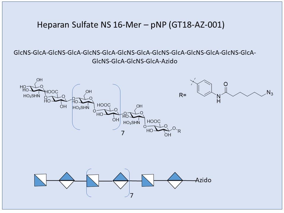 Heparan Sulfate NS 18-Mer