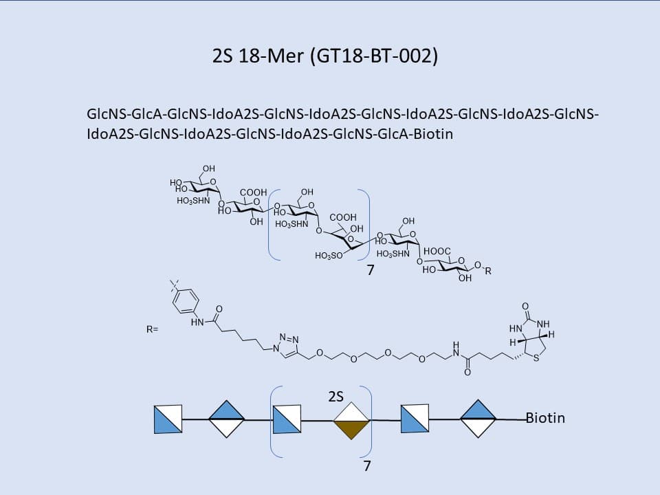 Heparan Sulfate 2S 18-Mer