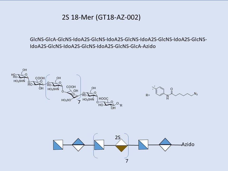 Heparan Sulfate 2S 18-Mer