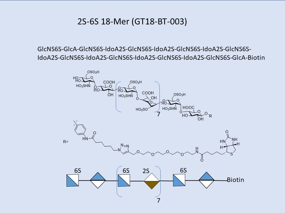 Heparan Sulfate 2S-6S 18-Mer