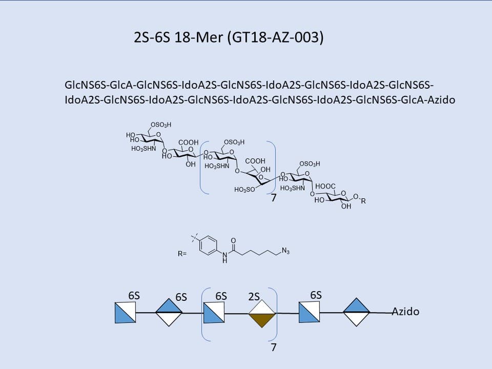 Heparan Sulfate 2S-6S 18-Mer