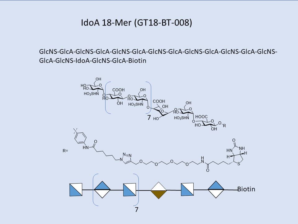 Heparan Sulfate IdoA 18-Mer