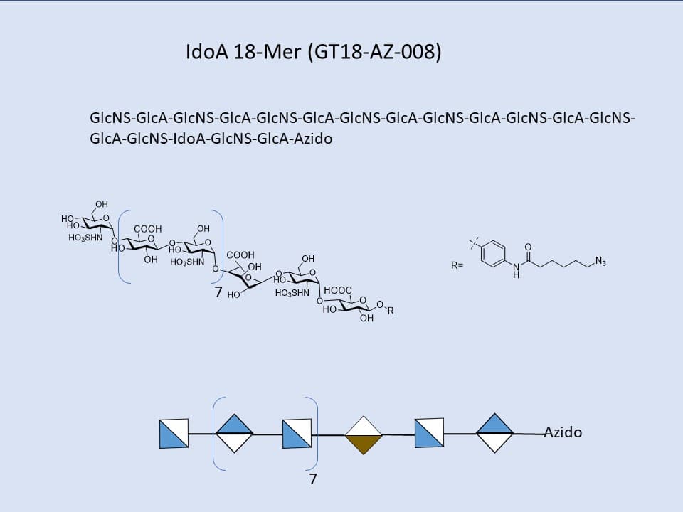 Heparan Sulfate IdoA 18-Mer