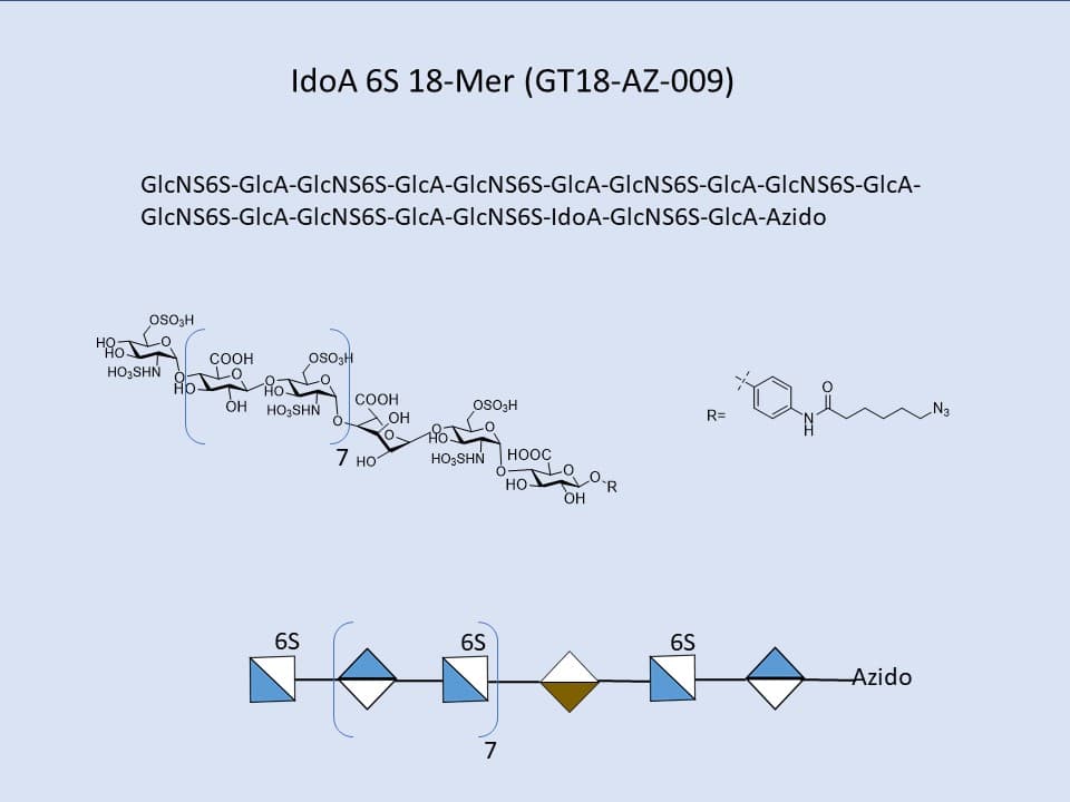 Heparan Sulfate IdoA 6S 18-Mer