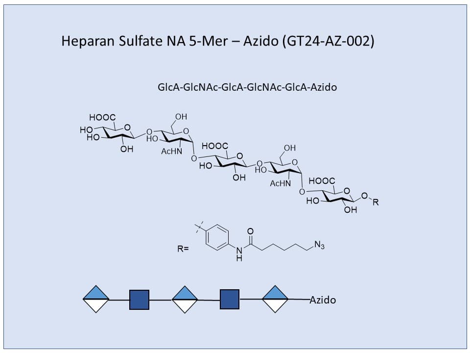 Heparan Sulfate NA 5-Mer