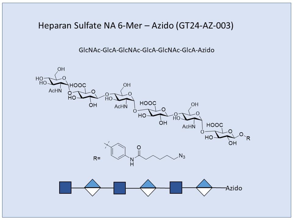 Heparan Sulfate NA 6-Mer