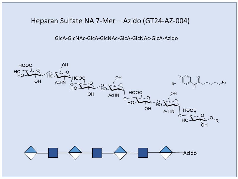 Heparan Sulfate NA 7-Mer
