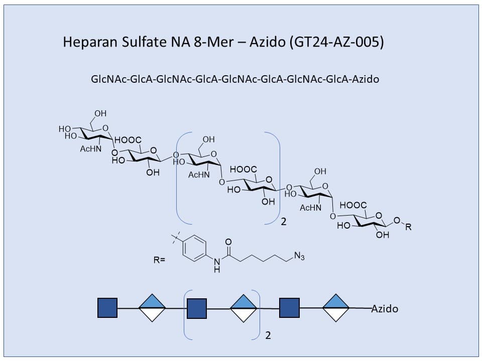 Heparan Sulfate NA 8-Mer