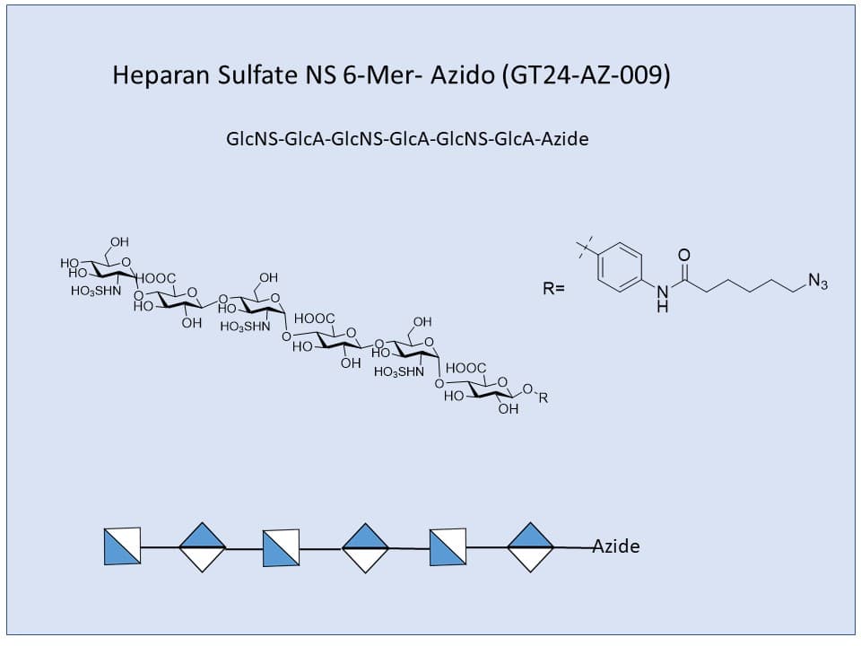 Heparan Sulfate NS 6-Mer