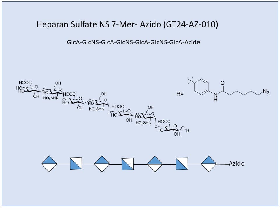 Heparan Sulfate NS 7-Mer