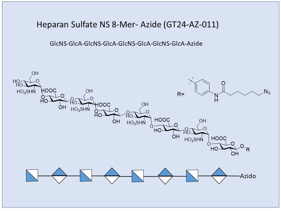 Heparan Sulfate NS 8-Mer