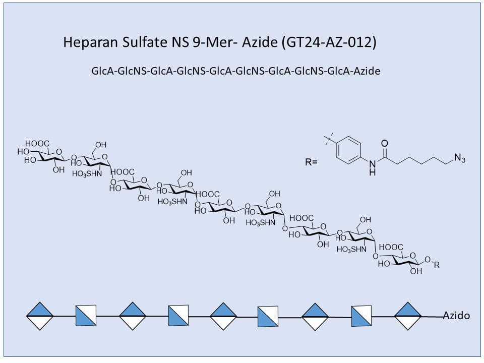 Heparan Sulfate NS 9-Mer