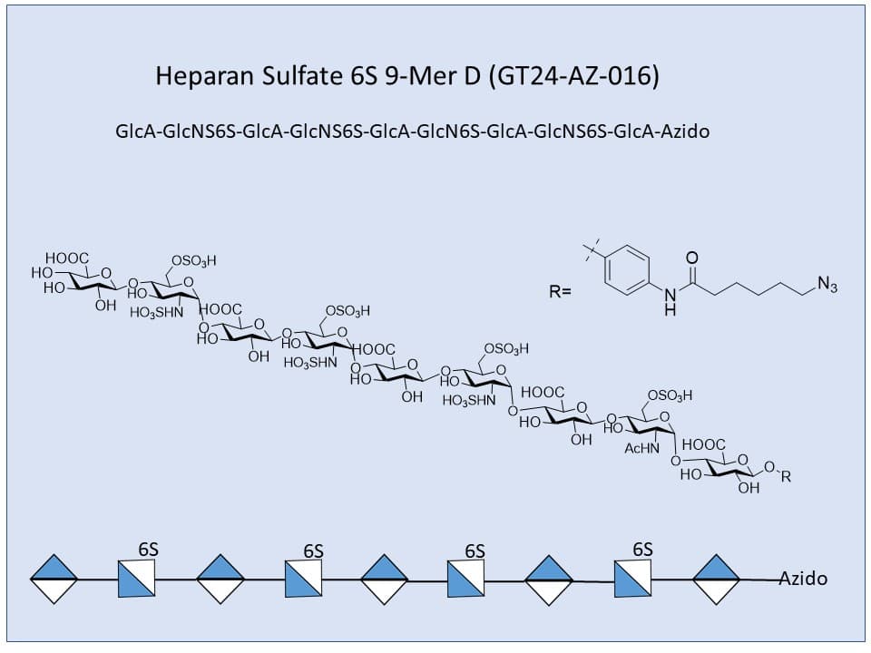 Heparan Sulfate 6S 9-Mer D