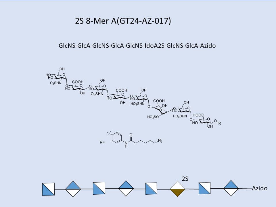 Heparan Sulfate 2S 8-Mer A