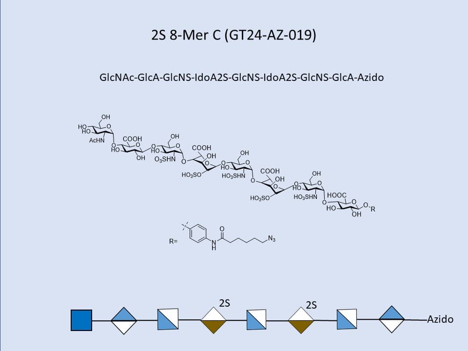 Heparan Sulfate 2S 8-Mer C
