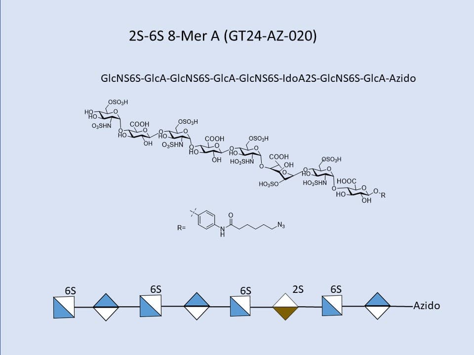 Heparan Sulfate 2S-6S 8-Mer A