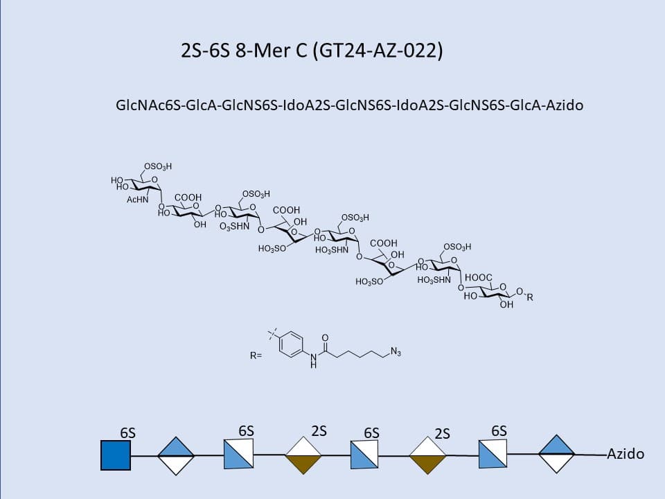 Heparan Sulfate 2S-6S 8-Mer C