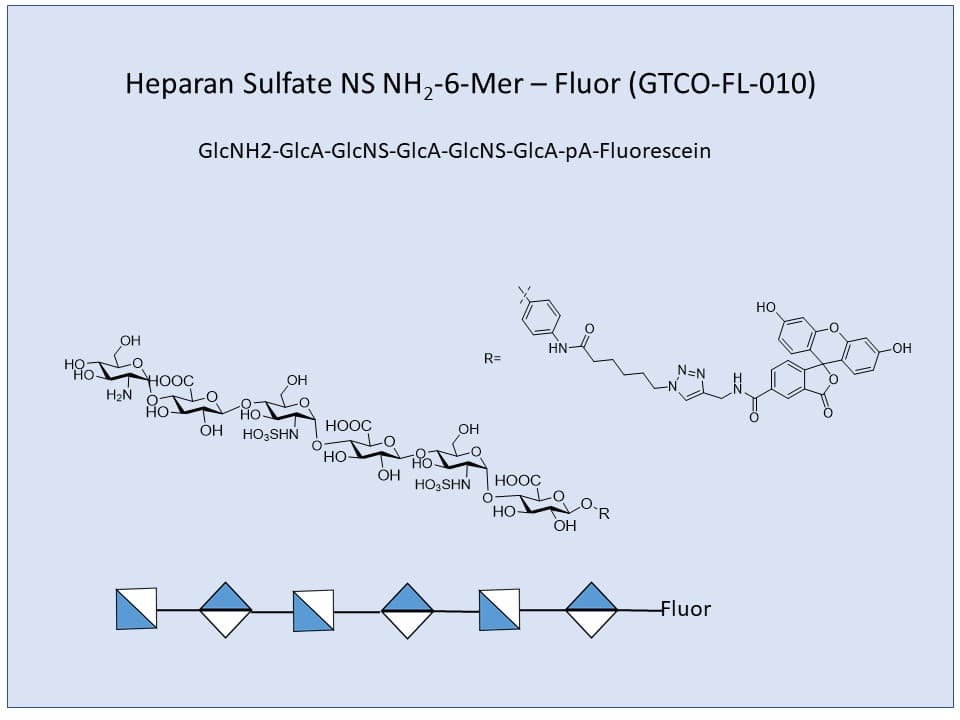 Heparan Sulfate NS NH2 6-Mer