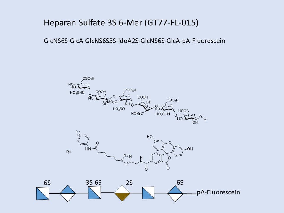 Heparan Sulfate 3S 6-Mer