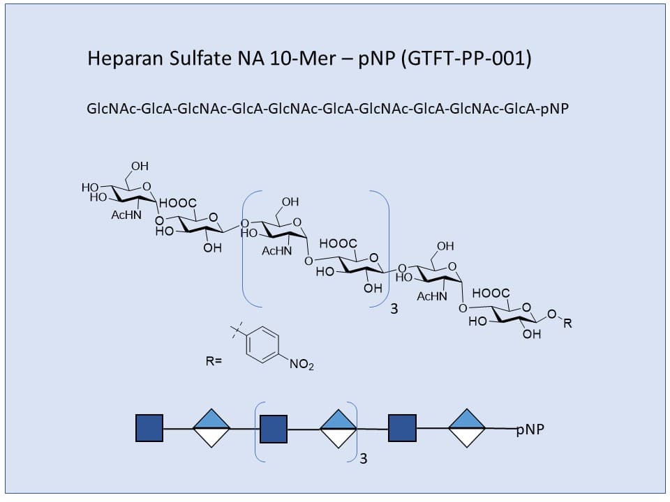 Heparan Sulfate NA 10-Mer