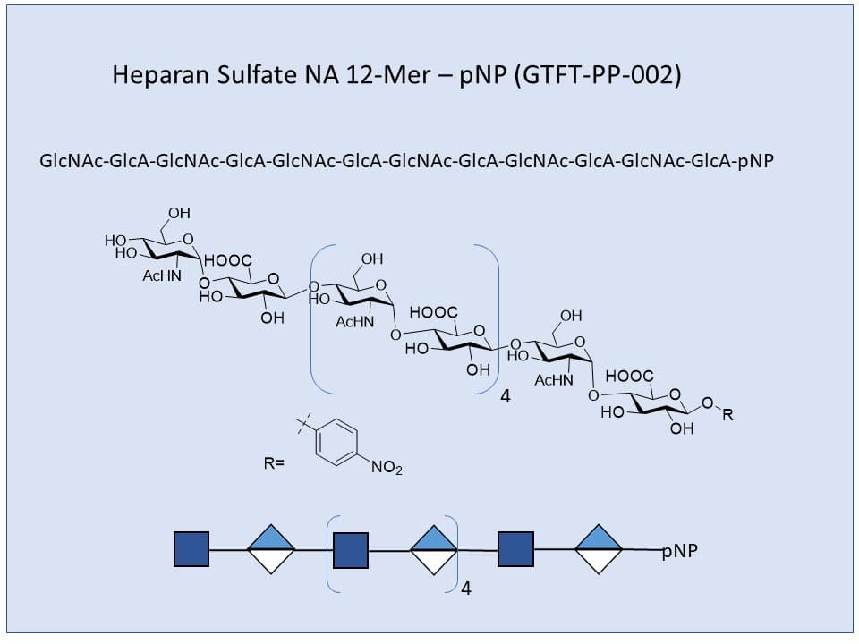 Heparan Sulfate NA 12-Mer