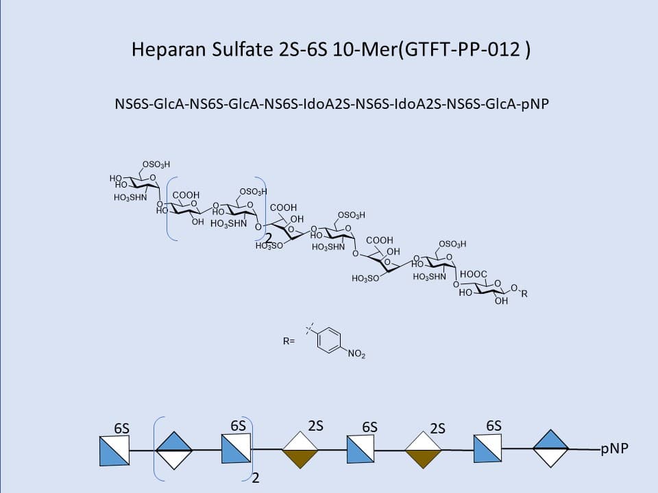 Heparan Sulfate 2S-6S 10-Mer