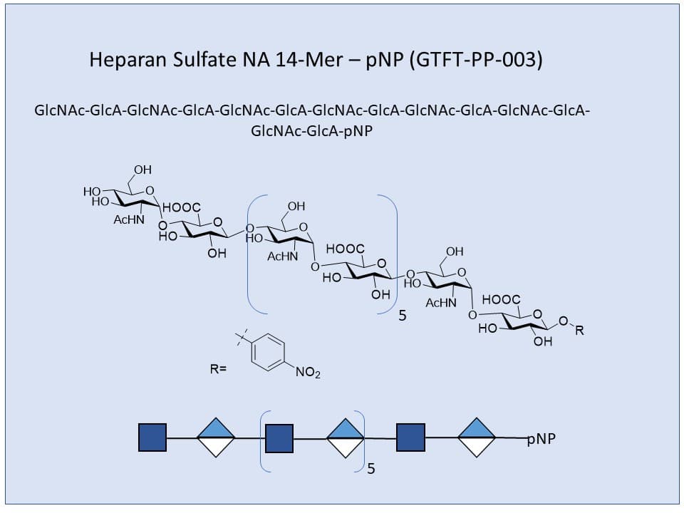 Heparan Sulfate NA 14-Mer