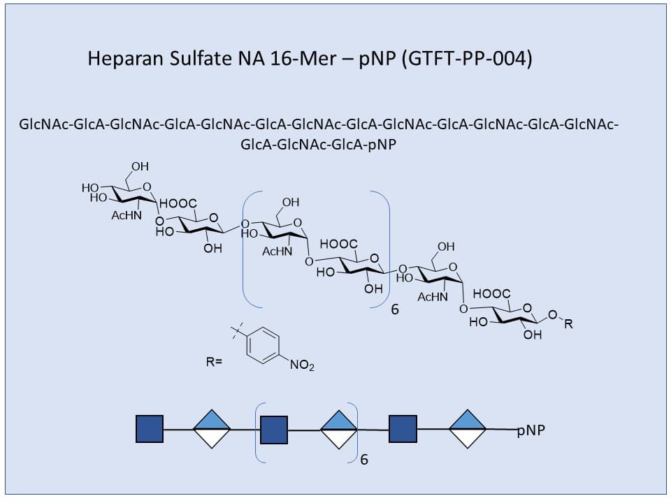 Heparan Sulfate NA 16-Mer