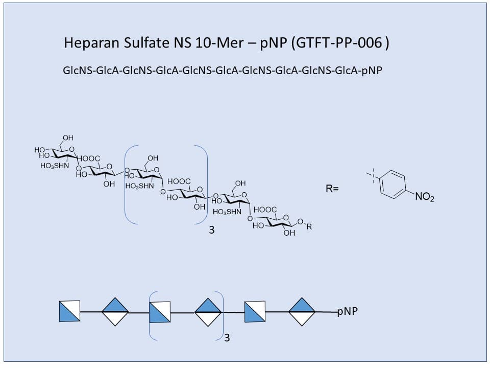 Heparan Sulfate NS 10-Mer