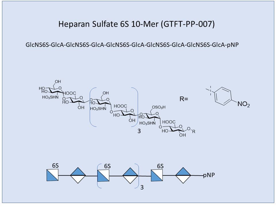 Heparan Sulfate 6S 10-Mer
