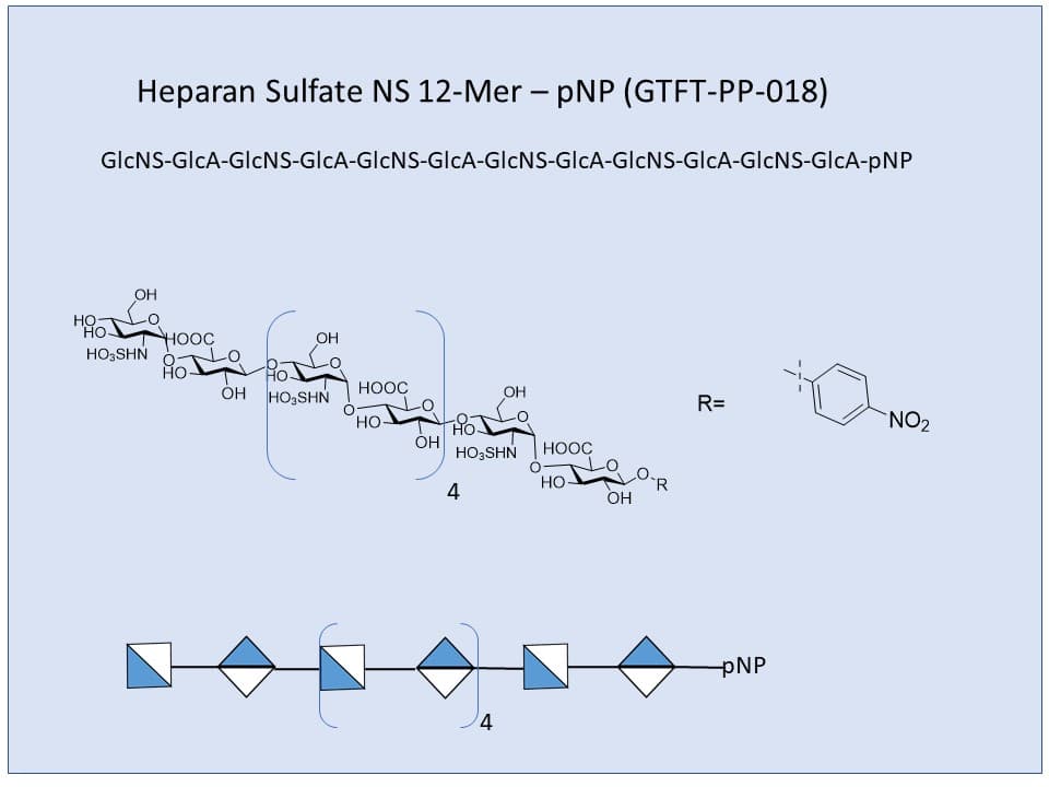 Heparan Sulfate NS 12-Mer