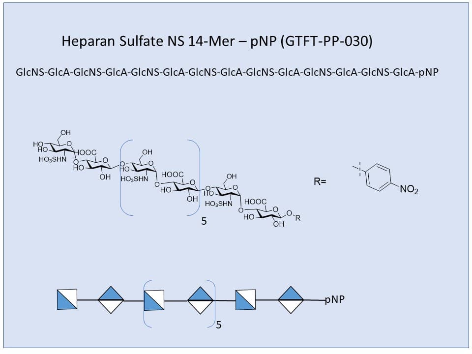 Heparan Sulfate NS 14-Mer