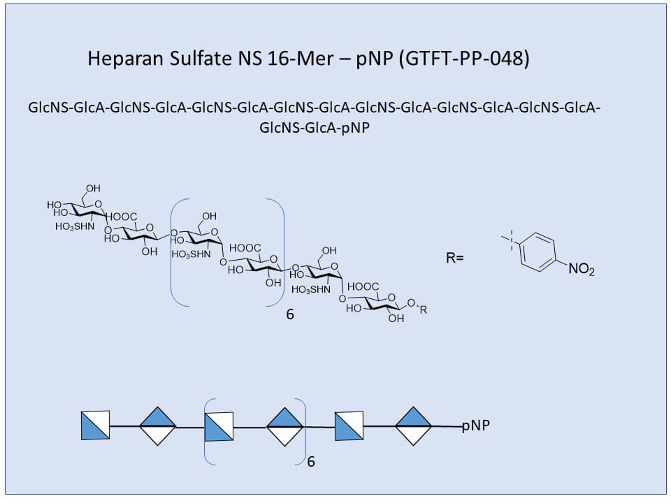 Heparan Sulfate NS 16-Mer