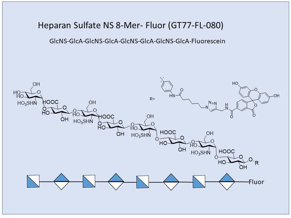 Heparan Sulfate NS 8-Mer Fluor