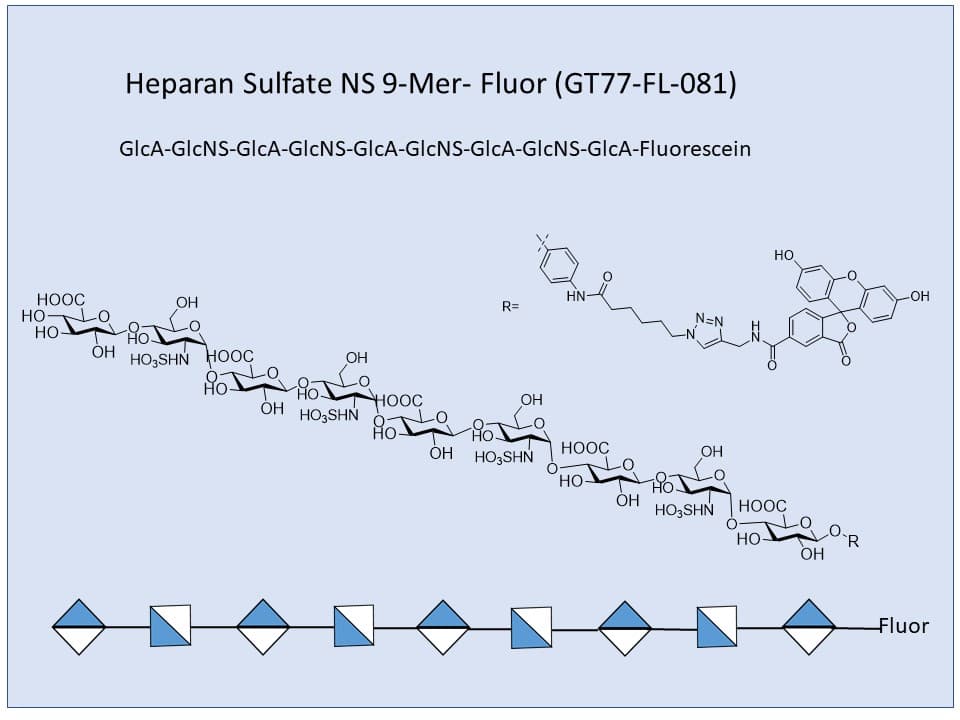 Heparan Sulfate NS 9-Mer Fluor