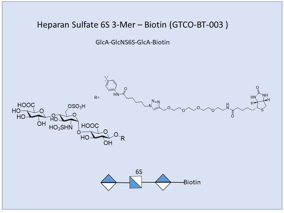 Heparan Sulfate 6S 3-Mer