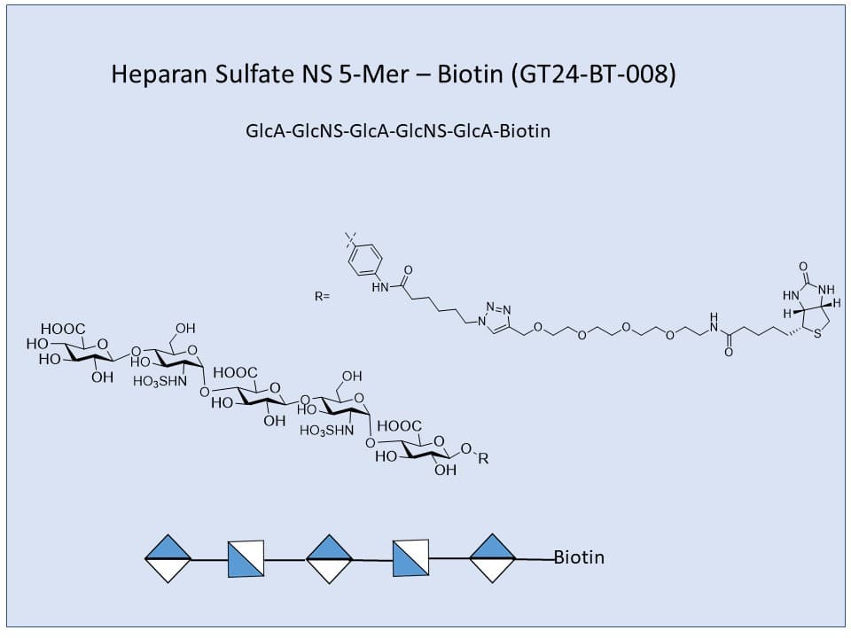 Heparan Sulfate NS 5-Mer