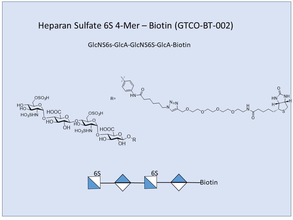 Heparan Sulfate 6S 4-Mer